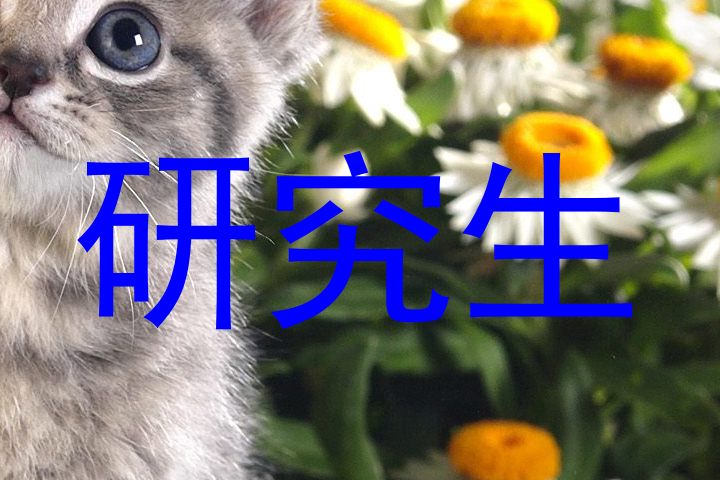 研究生