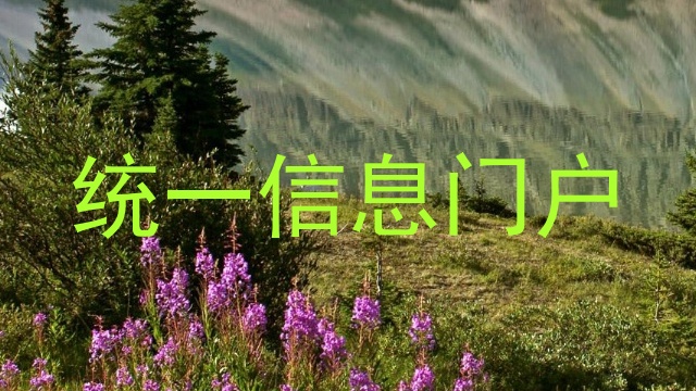 统一信息门户