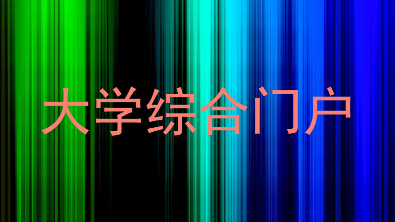 大学综合门户