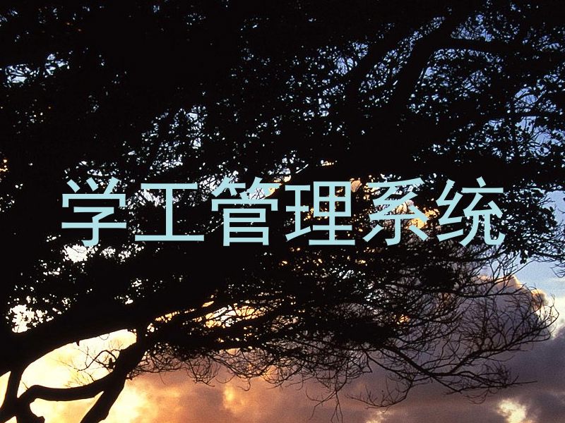 学工管理系统