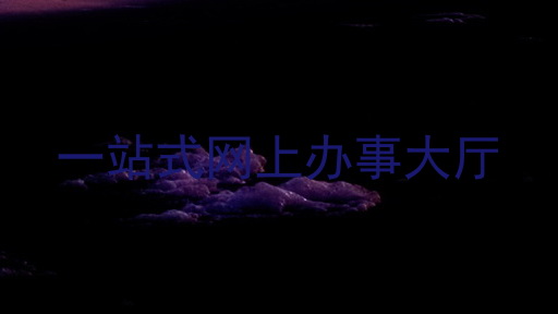 一站式网上办事大厅