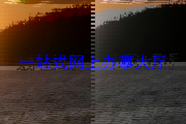 一站式网上办事大厅