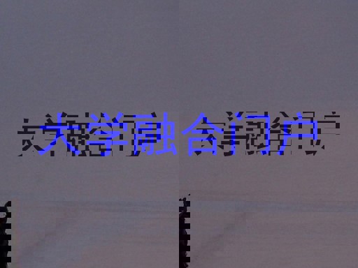 大学融合门户