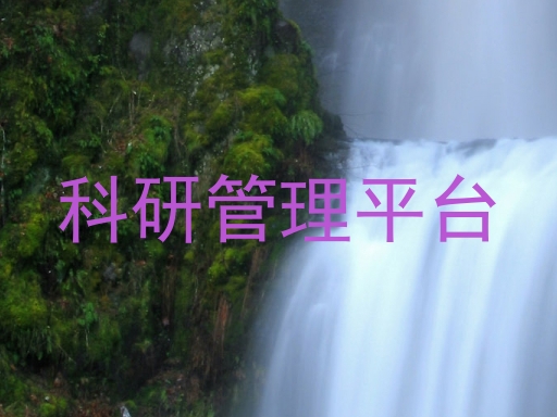 科研管理平台