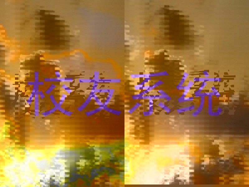 校友系统
