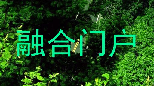 融合门户