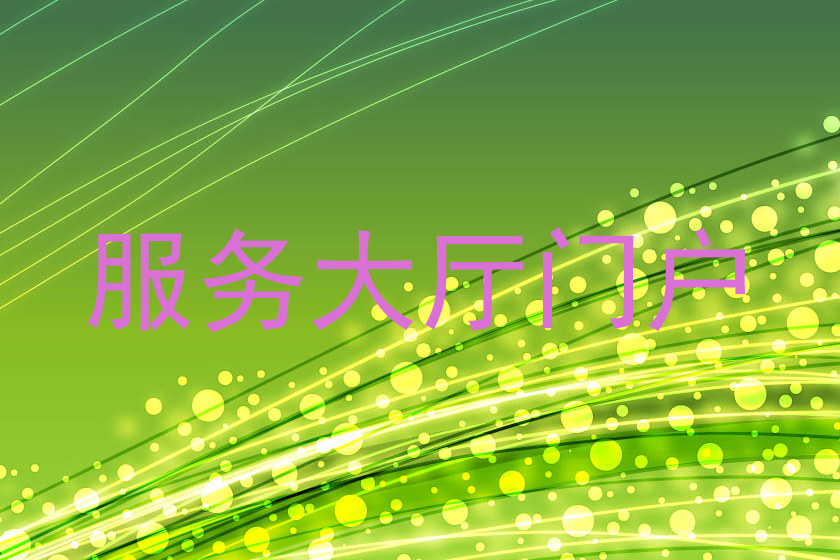 服务大厅门户