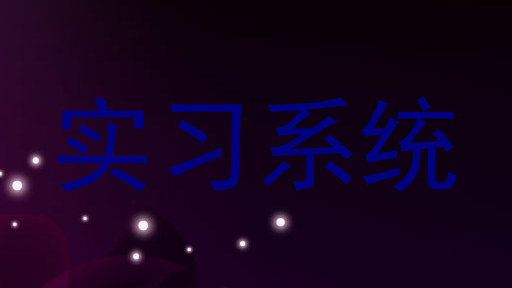 实习系统