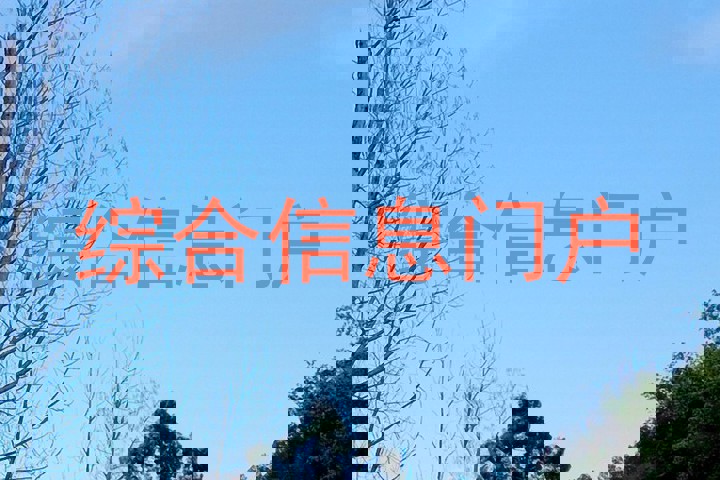 综合信息门户