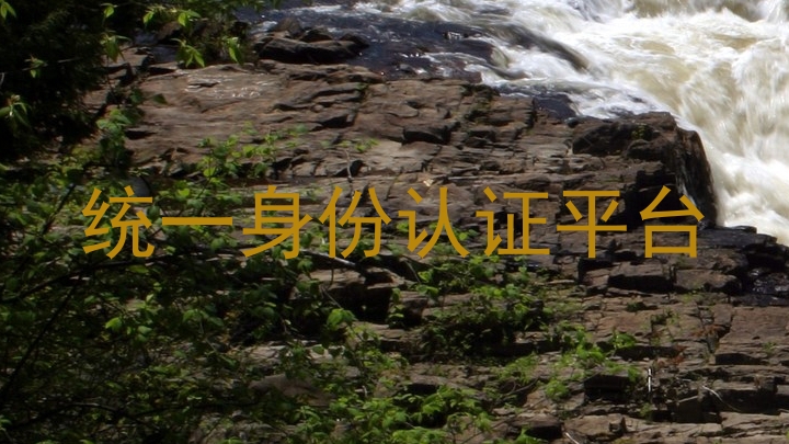 统一身份认证平台