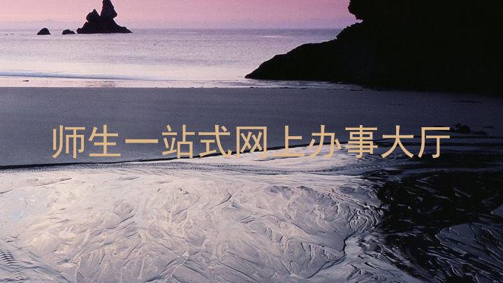 师生一站式网上办事大厅