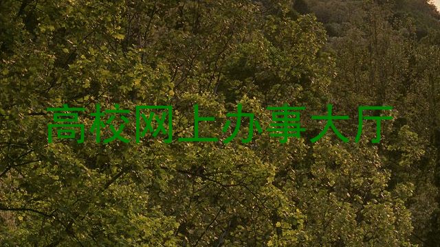 高校网上办事大厅