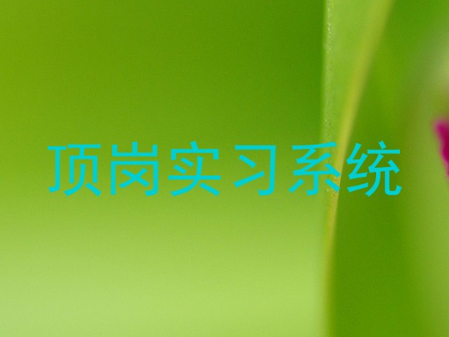 顶岗实习系统