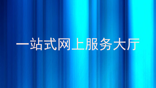 一站式网上服务大厅