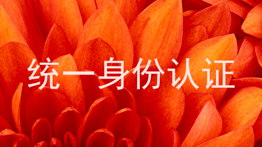 统一身份认证