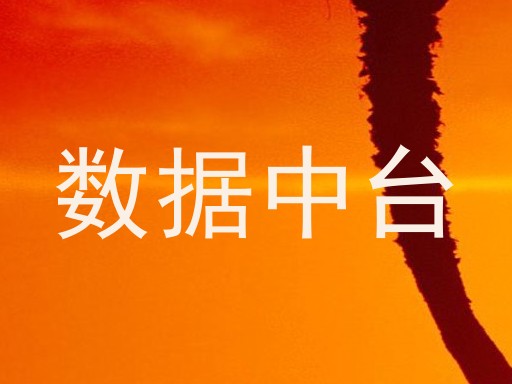 数据中台