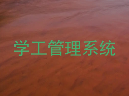 学工管理系统