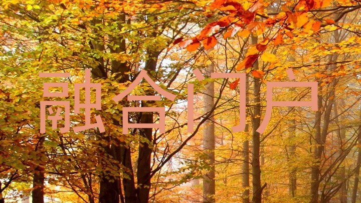 融合门户
