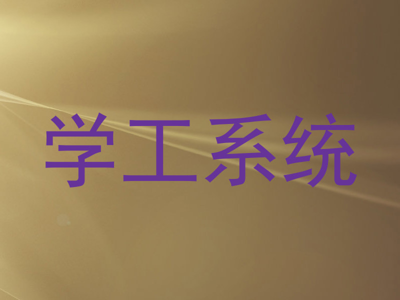 学工系统