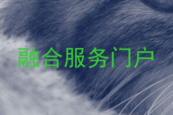 融合服务门户