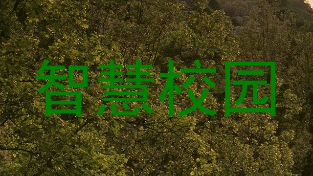 智慧校园