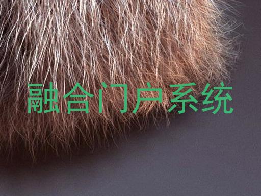 融合门户系统