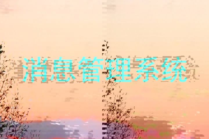 消息管理系统