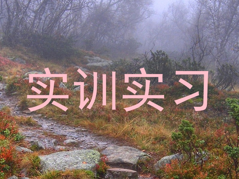 实训实习