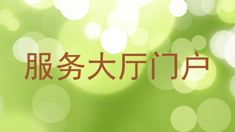 服务大厅门户