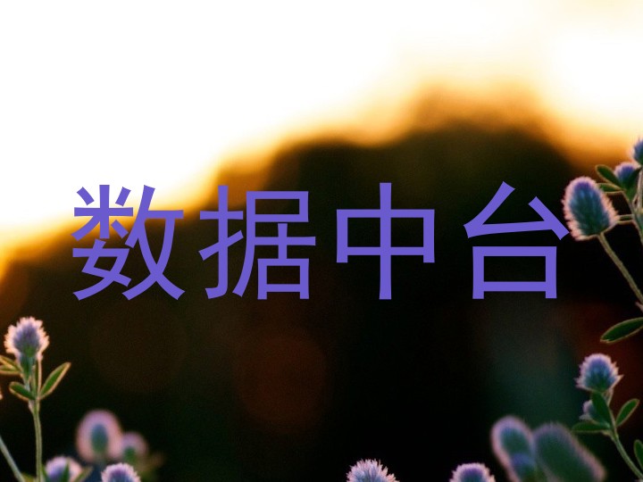 数据中台