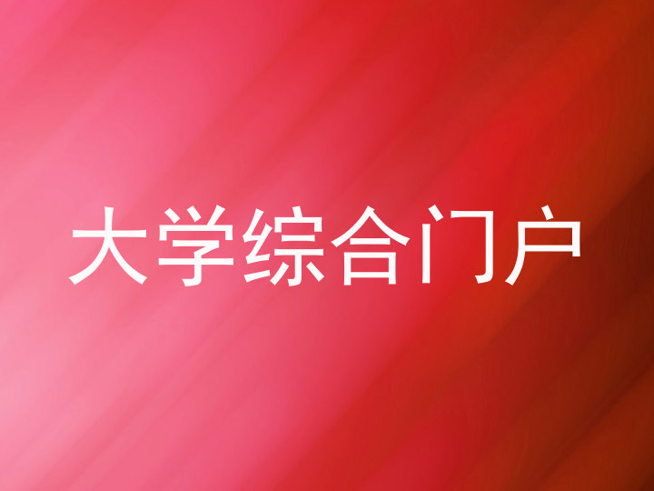 大学综合门户