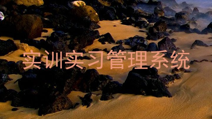 实训实习管理系统