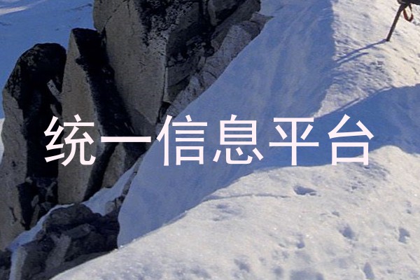 统一信息平台