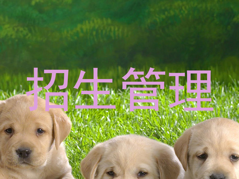 招生管理
