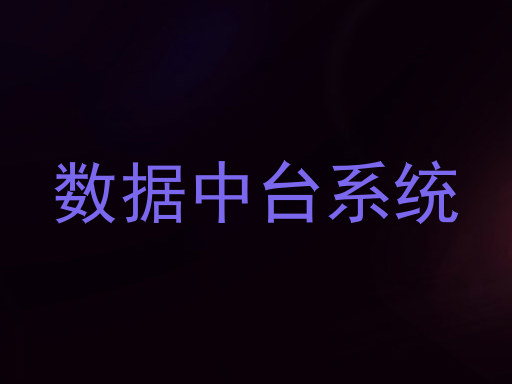 数据中台系统
