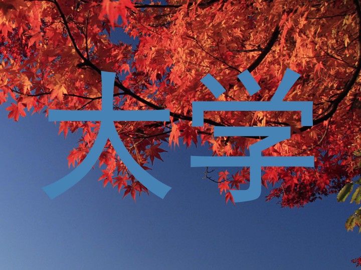 大学