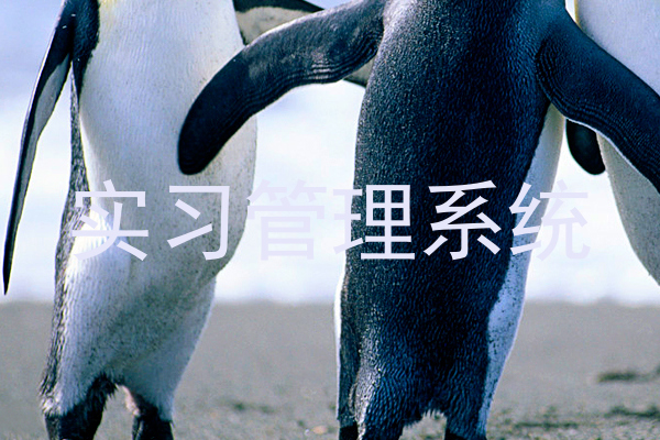 实习管理系统