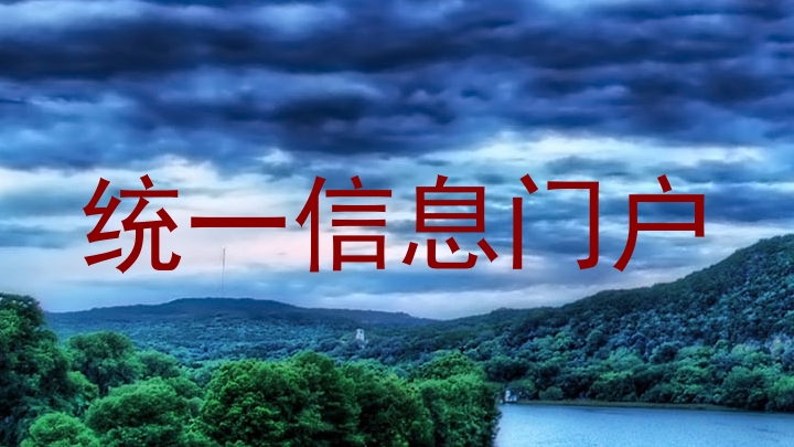 统一信息门户
