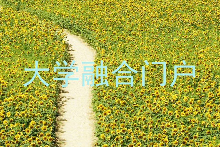 大学融合门户