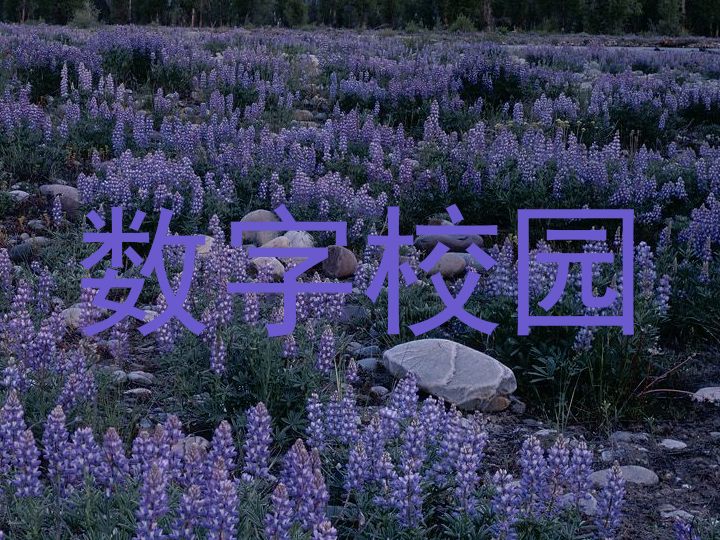 数字校园