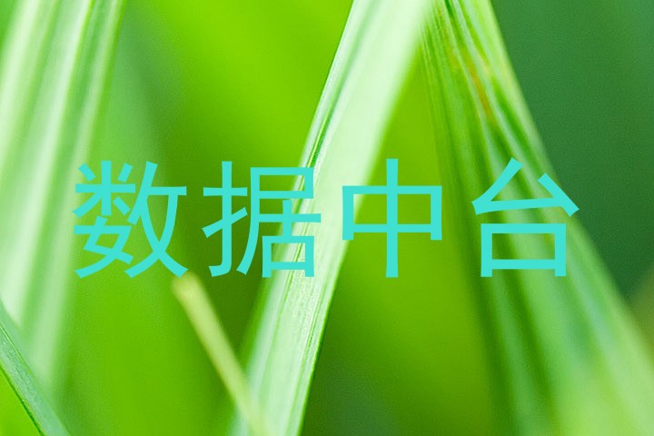 数据中台
