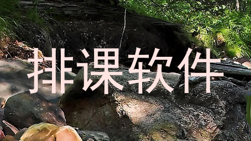 排课软件