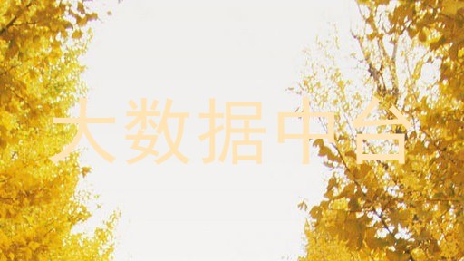 大数据中台