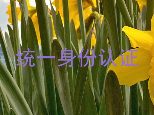 统一身份认证