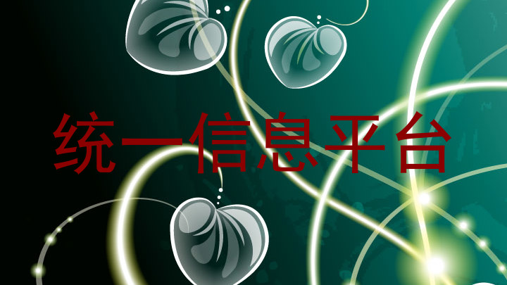 统一信息平台