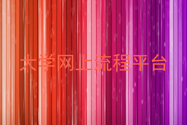 大学网上流程平台