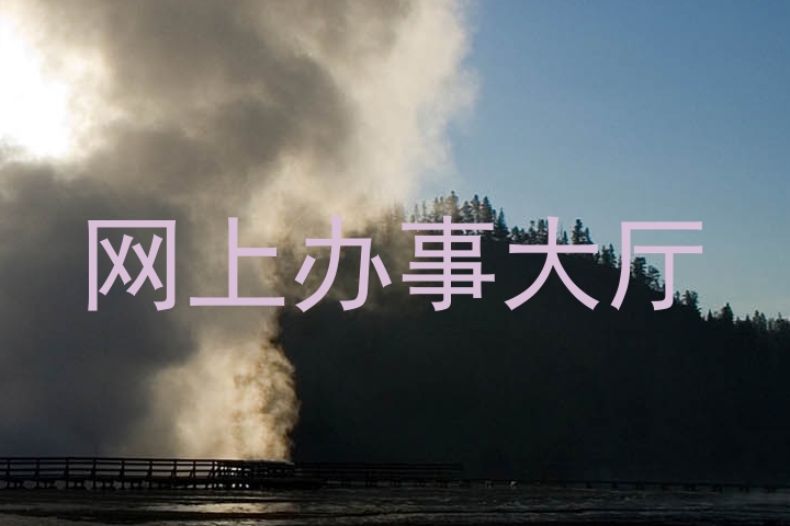 网上办事大厅