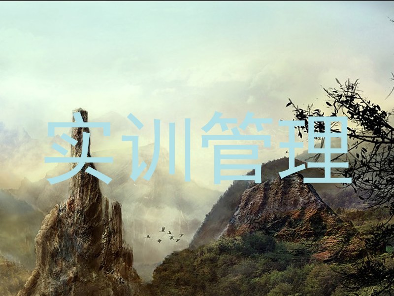 实训管理