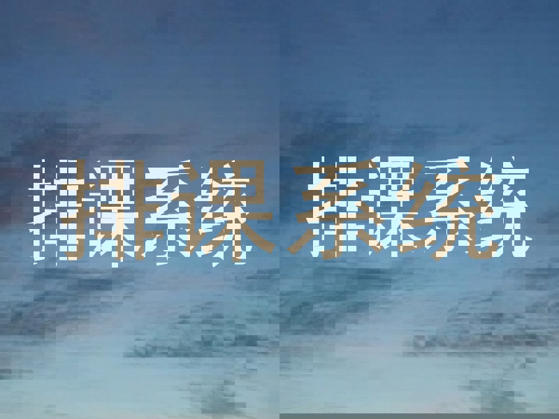 排课系统