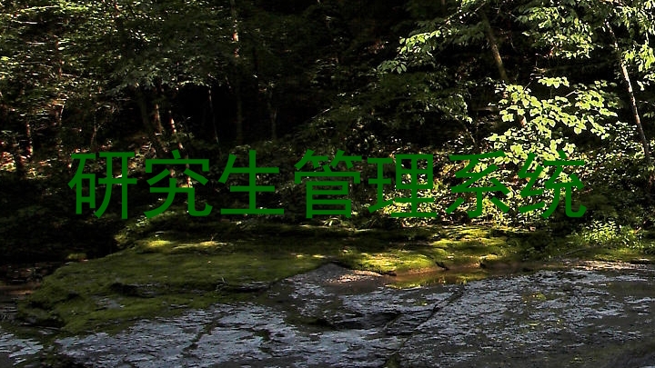 研究生管理系统